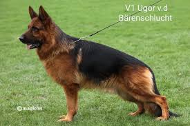 Wolfgang Krumnack (@wolfgangkrumnack) • Threads, Say more