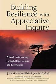 Download Pdf Building Resilience With Appreciative Inquiry Aleadership Journey Through Hope Despair And Forgiveness F Appreciative Inquiry Inquiry Resilience