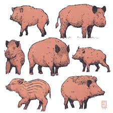 I Just Love Drawing Boars Boars Ilovedrawingthem Illustration Cartoon Art Styles Animal Sketches Animal Drawings