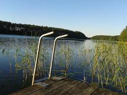 Eigentumswohnungen in mecklenburgische seenplatte (kreis) kaufen. Traumhaftes Seegrundstuck Mit Steg Und Ferienbungalow Bungalow Waldgrundstuck Ferien
