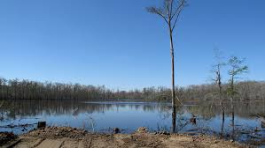 massive sinkhole in louisiana baffles