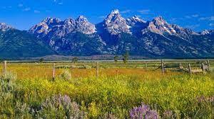 Jackson Hole #50, Jackson