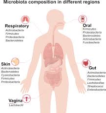 Microbiota in health and diseases | Signal Transduction and Targeted Therapy