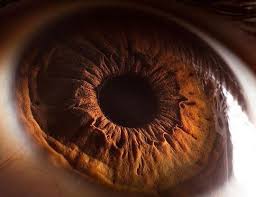 Present Macro Photography Human Eye Eye Photography