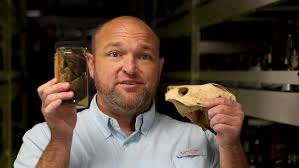 Meet the Curator: Dr. Cameron Siler, Herpetology