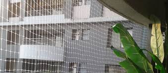 Check spelling or type a new query. Consult A Bird Netting And Bird Spikes Installation Service To Take Care Of Your Feathery Worries You Deserve The Peace Bird Netting Bird Control Clean House