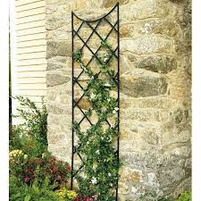 Putting Against My Chimney This Summer With A Climbing Rose Jardines Jardineria Enredaderas