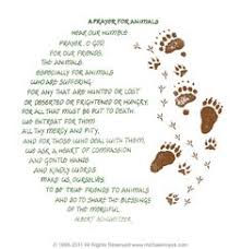 Pray without ceasing, for prayer novena prayer for our animal friends. Cat Prayer Quotes Quotesgram