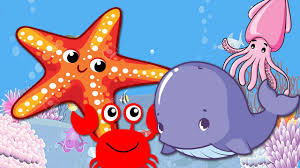 38 gambar kartun hewan hitam putih darat dan laut ada banyak sekali contoh contoh gambar kartun hewan baik hewan liar ternak maupun hewan yang hidup dekat dipelihara oleh kita karena mungkin anak. Sea Animal Names Cartoon For Kids Belajar Nama Hewan Laut Video Dailymotion