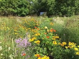 Britzer garden) is a large park in berlin, named after britz, a neighborhood of the borough of neukölln. Umwerfend Schon In Der Tulipan Zeit Britzer Garten Berlin Reisebewertungen Tripadvisor