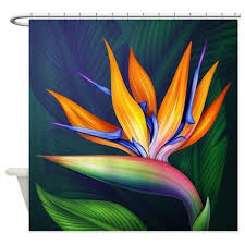 Bird Of Paradise Shower Curtain On Cafepress Com Paradise Painting Flower Art Flower Painting
