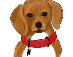 Pegate Lorna Projects :: Photos, videos, logos, illustrations and branding  :: Behance