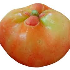 Image result for Garcinia buchananii