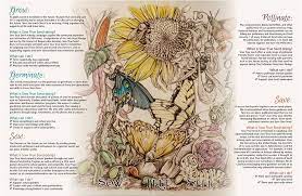 Sow True Seed 2015 Intentions Seeds Sowing Seed Starting