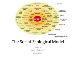 The Social Ecological Model Social Ecological Model Physical Activities Ecology