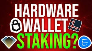 My thoughts on crypto staking. Best Hardware Wallets For Staking 2021 Youtube