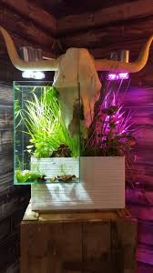 Brio Aquaponics Aquaponics Aquaponics Fish Aquaponics Aquarium