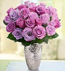 Our enchanting purple roses are sure to impress on any occasion. Passion For Purple Roses Free Vase 1800flowers Com 104518 Purple Roses Pretty Flowers Beautiful Flowers