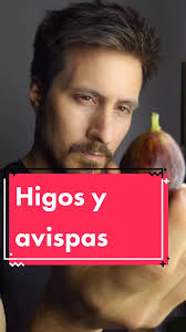 El Secreto De La Familia Greco Felipe Colombo