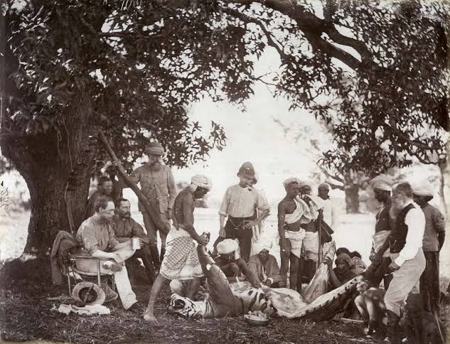 1876 1877 1878 1879 Tiger hunting sport in British India,… — PICRYL - Public Domain Media Search Engine