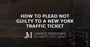 If you plead guilty, you are admitting that you committed every offence as described by the crown prosecutor. How To Plead Not Guilty To A New York Traffic Ticket