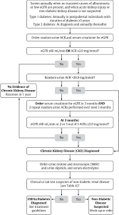 Diabetes in canada how much do you know? Pdf Chronic Kidney Disease In Diabetes Diabetes Canada Clinical Practice Guidelines Expert Committee Semantic Scholar