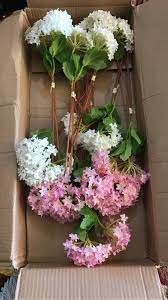 Maybe you would like to learn more about one of these? Flora Et Al Alhamdulillah Bunga Orang Nak Kawen Dah Facebook