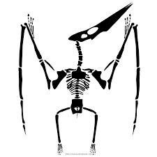 39+ pterodactyl coloring pages for printing and coloring. Pterodactyl Skelett Ausmalbilder Ultra Coloring Pages