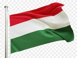 Click on the file and save it for free. Flag Hungary Waving On Transparent Background Png Similar Png