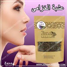 عشبة الخزامى lavender herb herbs lavender