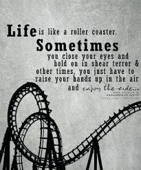 Maybe I Like This Roller Coaster Maybe It Keeps Me High Lyrics Life Is A Rollercoaster Quote Just Like Grandma Said In The Movie Parenthood Some People Ride The Carouse Roller Coaster Quotes Emotional Quotes Roller Coaster