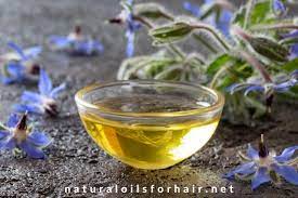 100% pure black currant seed oil Solve Dry Scalp Dandruff Issues With Borage Seed Oil