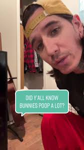 Exploring Turnstile's Rise to Mainstream Fame