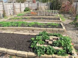 Vegetable Garden Cathedral Update Vegetable Garden Backyard Gardens Layout Arizona Garden Layout Vegetable Vegetable Garden Planning Backyard Vegetable Gardens