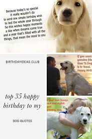 Fun Things To Do On Your Dog S Birthday Top 35 Happy Birthday To My Dog Quotes Dog Birthday Quotes Happy Birthday Me Birthday Quotes Inspirational