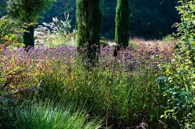 Garten Von Peter Janke Gartenbesuche Auf Staudenblog De Garten Stauden Gartnerei