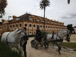 Real Escuela Andaluza Del Arte Ecuestre Jerez Spain Show Horses