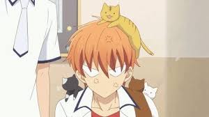 Pin By Brittani Abbott On Fruits Basket Fruits Basket Anime Fruits Basket Cosplay Fruits Basket