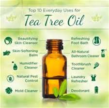 Exact Urdu Meaning Of Tea Tree Oil Buy Products In Ante Health June 19 2018