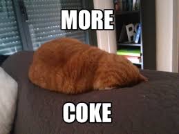 Cat avatar suit for every character to describe the moment. Meme Creator Nope Fat Cat Meme Generator At Memecreator Org