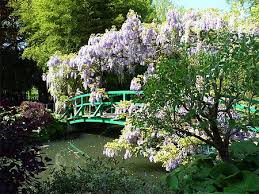 L'étang aux nénuphars et au pont japonais a servi de modèle aux célèbres tableaux les nymphéas. Jardin De Giverny Glycines Fleurs Maison De Claude Monet Giverny Eure Normandie Routard Com