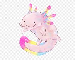 Order this funny pansexual pride flag item pansexual aesthetic merch outfit for your nonbinary and genderfluid pan pride friends who would love pansexual . Pan Pansexual Panpride Lgbtq Lgbtqpride Pansexualpride Pansexual Pride Flag Clipart 845794 Pinclipart