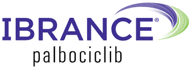 We did not find results for: Home Page Ibrance Palbociclib Safety Info