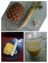 Meski begitu, ada penelitian yang bilang bahwa lobak putih bisa membantu menurunkan asam urat atau meningkatkan ekskresi asam urat melalui urine. Pengobatan Dan Khasiat Herbal Khasiat Lobak Putih Untuk Asam Urat