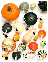 Our 15 Favorite Winter Squash Varieties Baldorfood