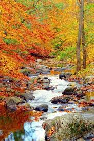Landscaping Places Near Me Code 1838549745 Autumn Scenery Autumn Landscape Autumn Scenes