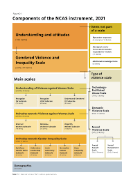 Attitudes matter: The 2021 National Community Attitudes towards Violence  against Women Survey (NCAS), Findings for Australia - ANROWS - Australias  National Research Organisation for Womens Safety
