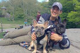 By unknown assailants, who stole the two dogs. Lady Gaga S Dog Walker Ryan Fischer In Stable Condition Report