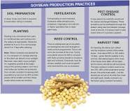 GROWING SOYBEANS<br/> A great source of food, protein and oil