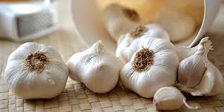 Résultat de recherche d'images pour "nouer l'ail"